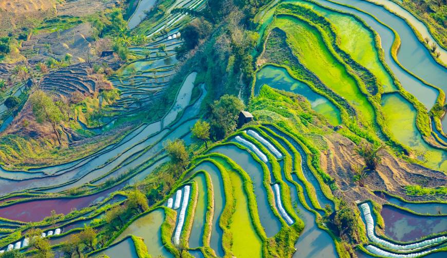 走进雷山县TVC拍摄：解锁本地化场景与创意镜头的完美融合